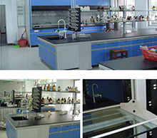 �㶫ʡ����ʵ��������