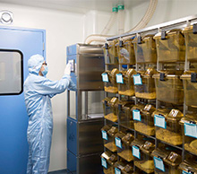 ����ʵ����