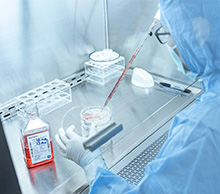 ϸ��ʵ����