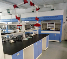 ����ʵ����