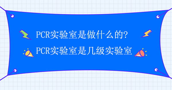 PCRʵʲô?PCRʵǼʵ