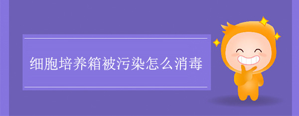 ϸ䱻Ⱦô